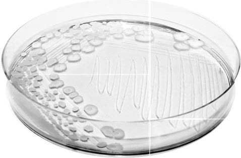 Иллюстрация к книге — Взламывая биологию [i_134.jpg]