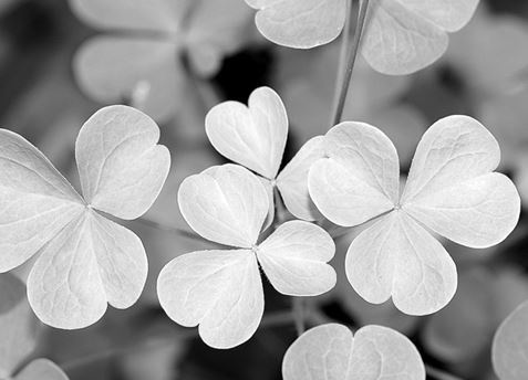 Иллюстрация к книге — Взламывая биологию [i_136.jpg]