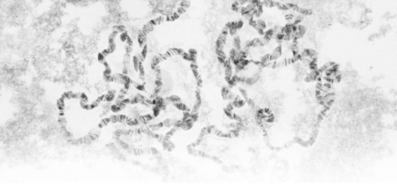 Иллюстрация к книге — Взламывая биологию [i_138.jpg]