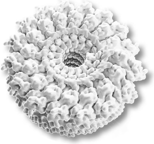 Иллюстрация к книге — Взламывая биологию [i_146.jpg]