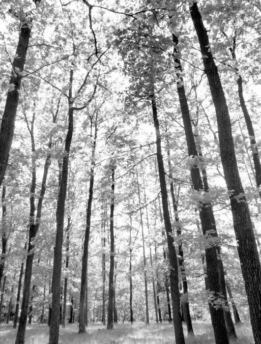 Иллюстрация к книге — Взламывая биологию [i_147.jpg]