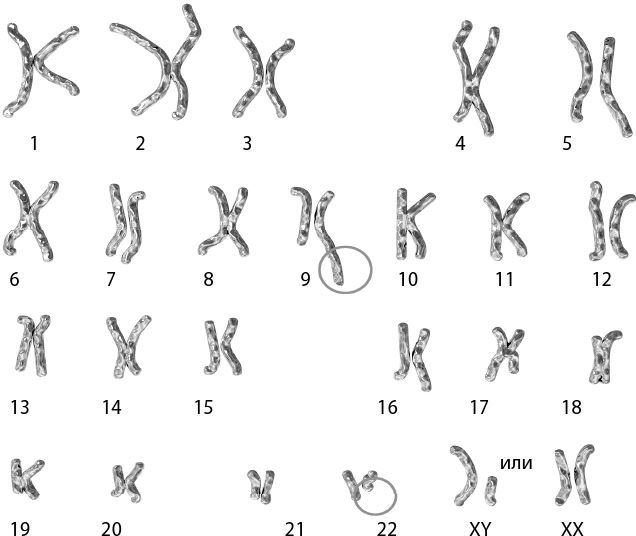 Иллюстрация к книге — Взламывая биологию [i_150.jpg]