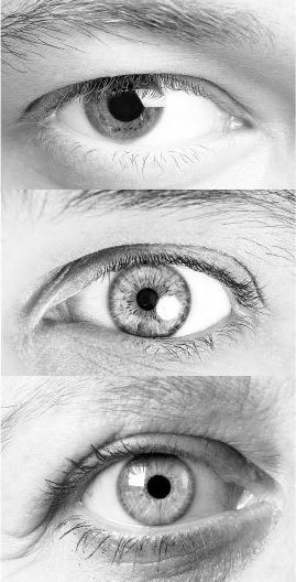 Иллюстрация к книге — Взламывая биологию [i_151.jpg]