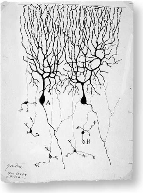 Иллюстрация к книге — Взламывая биологию [i_154.jpg]