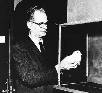 Иллюстрация к книге — Взламывая биологию [i_156.jpg]