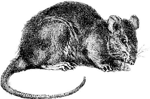 Иллюстрация к книге — Взламывая биологию [i_162.jpg]