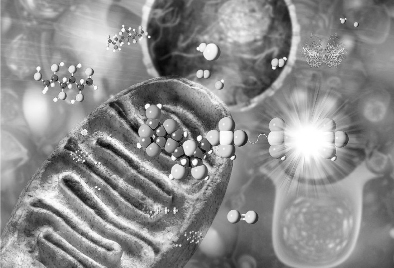 Иллюстрация к книге — Взламывая биологию [i_169.jpg]