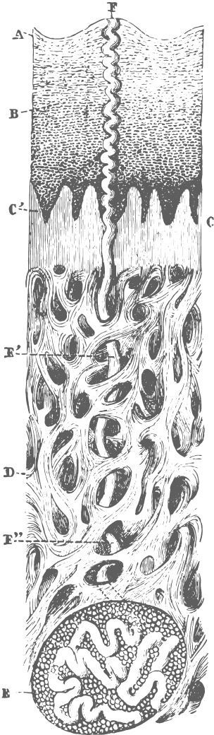 Иллюстрация к книге — Взламывая биологию [i_171.jpg]