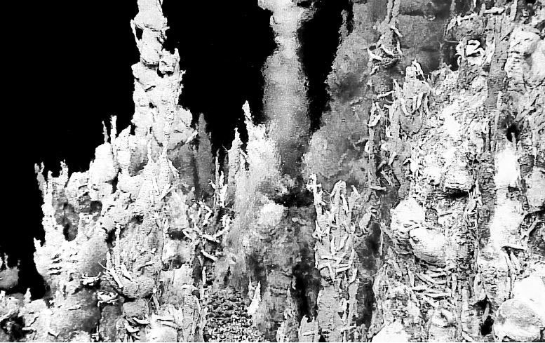 Иллюстрация к книге — Взламывая биологию [i_178.jpg]