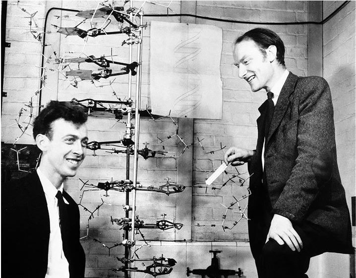 Иллюстрация к книге — Взламывая биологию [i_188.jpg]