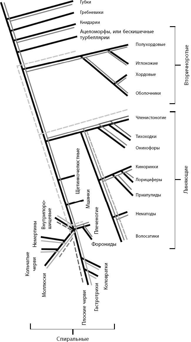 Иллюстрация к книге — Взламывая биологию [i_197.jpg]