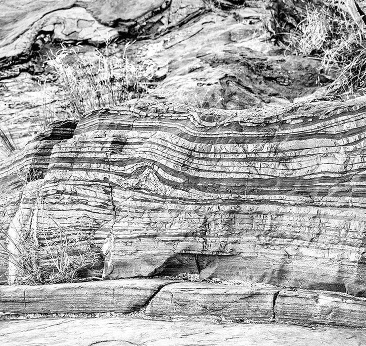 Иллюстрация к книге — Взламывая биологию [i_210.jpg]