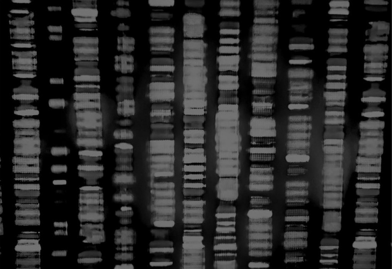 Иллюстрация к книге — Взламывая биологию [i_214.jpg]