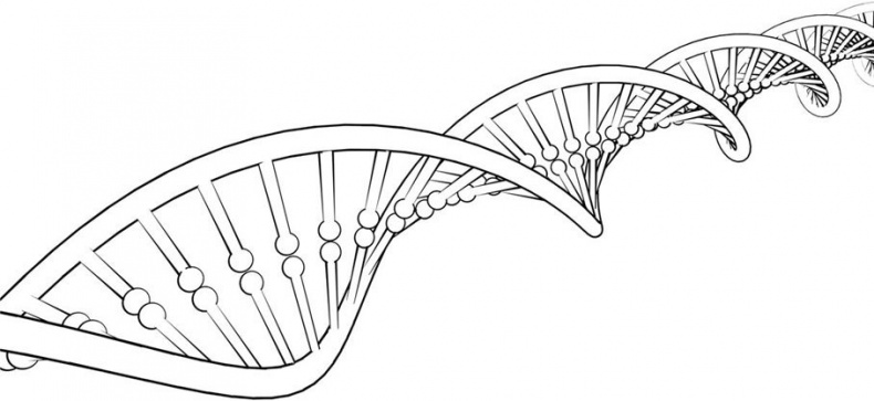 Иллюстрация к книге — Взламывая биологию [i_215.jpg]