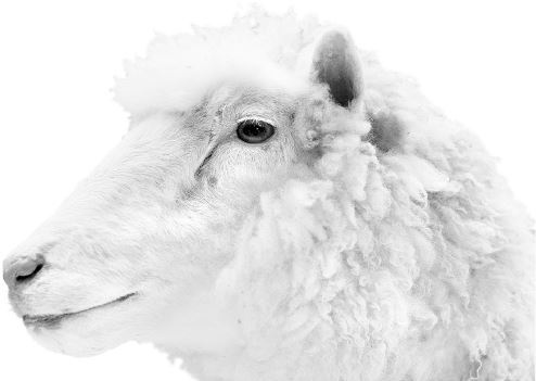 Иллюстрация к книге — Взламывая биологию [i_221.jpg]