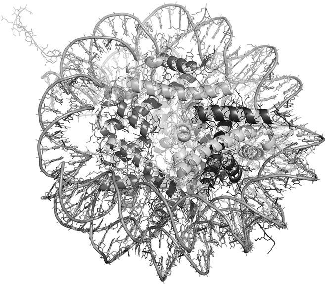 Иллюстрация к книге — Взламывая биологию [i_225.jpg]