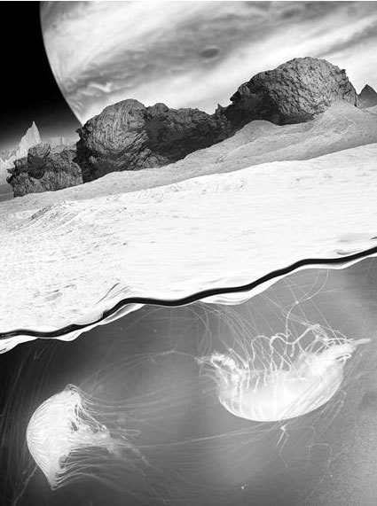 Иллюстрация к книге — Взламывая биологию [i_228.jpg]