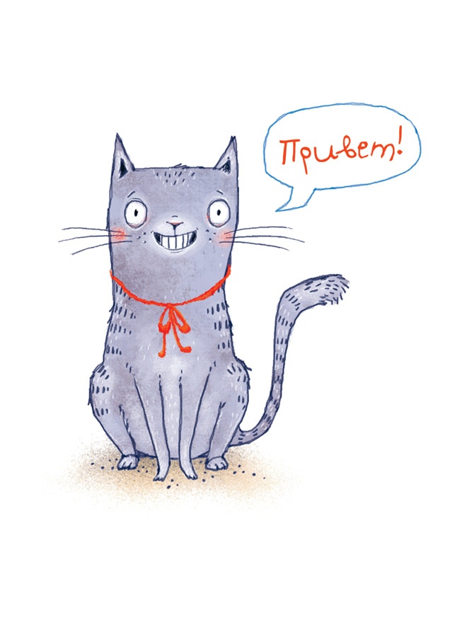 Иллюстрация к книге — А кота спросить забыли? [i_001.jpg]