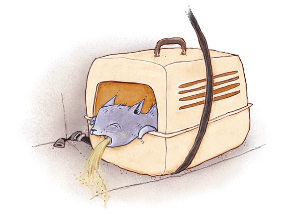 Иллюстрация к книге — А кота спросить забыли? [i_006.jpg]