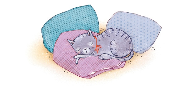 Иллюстрация к книге — А кота спросить забыли? [i_009.jpg]