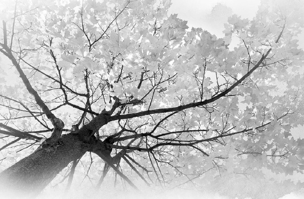 Иллюстрация к книге — Тайна «Небьюлы» [img_13.jpg]