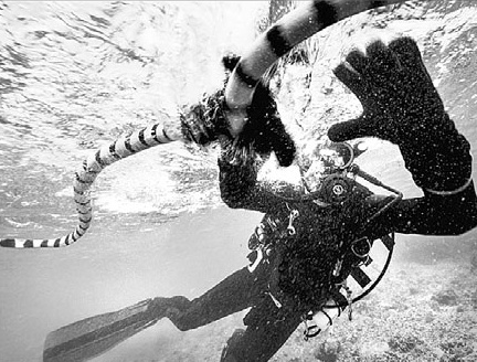 Иллюстрация к книге — Тайна «Небьюлы» [img_36.jpg]