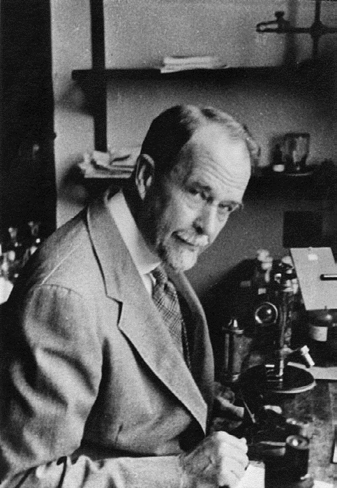 Иллюстрация к книге — Эта короткая жизнь. Николай Вавилов и его время [i_034.jpg]