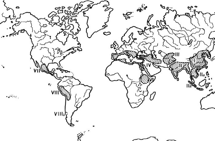 Иллюстрация к книге — Эта короткая жизнь. Николай Вавилов и его время [i_059.jpg]