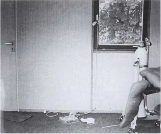 Иллюстрация к книге — Тайна смерти Рудольфа Гесса [i_083.jpg]