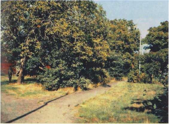 Иллюстрация к книге — Тайна смерти Рудольфа Гесса [i_100.jpg]