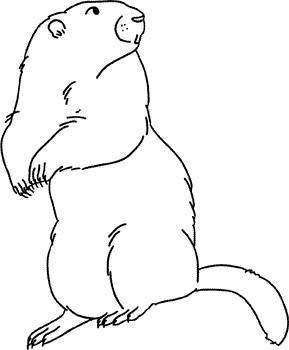 Иллюстрация к книге — Дневник отца-пофигиста [i_013.jpg]