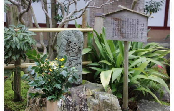 Иллюстрация к книге — Поэзия Басё. Перевод и смысл [image46_5dc5451893a3b10700161f58_jpg.jpg]