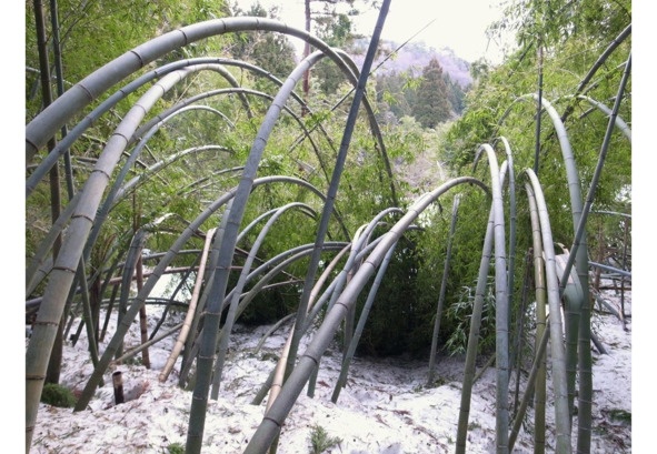 Иллюстрация к книге — Поэзия Басё. Перевод и смысл [image7_5dc52c5793a3b10700161eec_jpg.jpg]