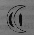 Иллюстрация к книге — Нина и Золотое число [img_23.jpg]