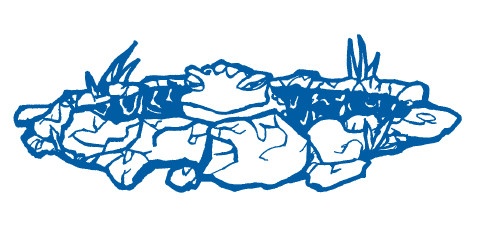 Иллюстрация к книге — Звёздная Река [i_021.jpg]