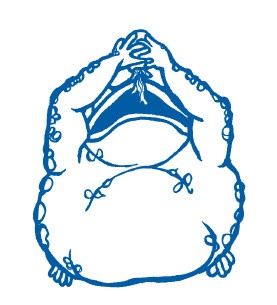 Иллюстрация к книге — Звёздная Река [i_068.jpg]