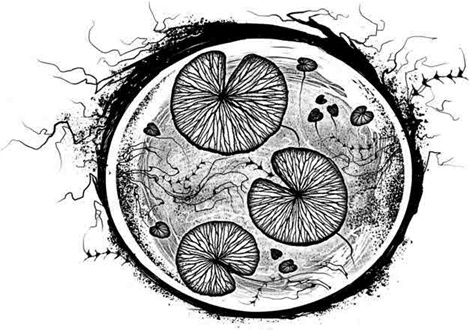 Иллюстрация к книге — Болотница [i_001.jpg]