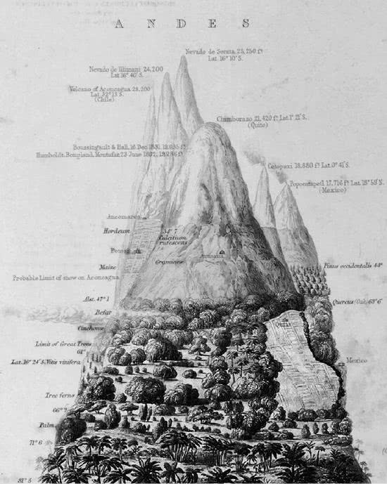 Иллюстрация к книге — Открытие природы [i_005.jpg]