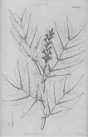 Иллюстрация к книге — Открытие природы [i_009.jpg]