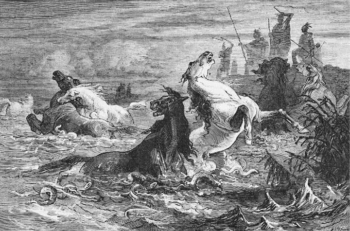 Иллюстрация к книге — Открытие природы [i_014.jpg]