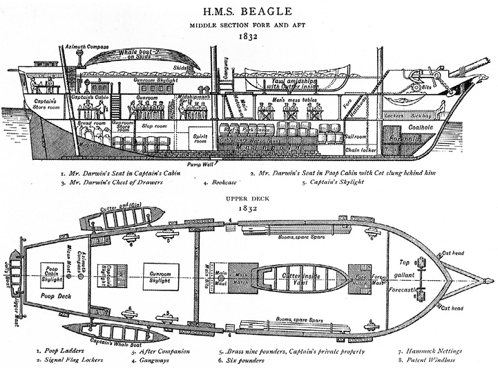 Иллюстрация к книге — Открытие природы [i_032.jpg]