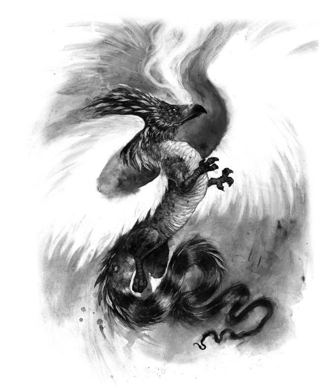 Иллюстрация к книге — Суд теней [i_006.jpg]