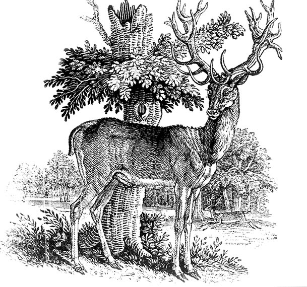 Иллюстрация к книге — Новый год в России. История праздника [i_035.jpg]