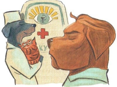 Иллюстрация к книге — Играют все [_091.jpg]