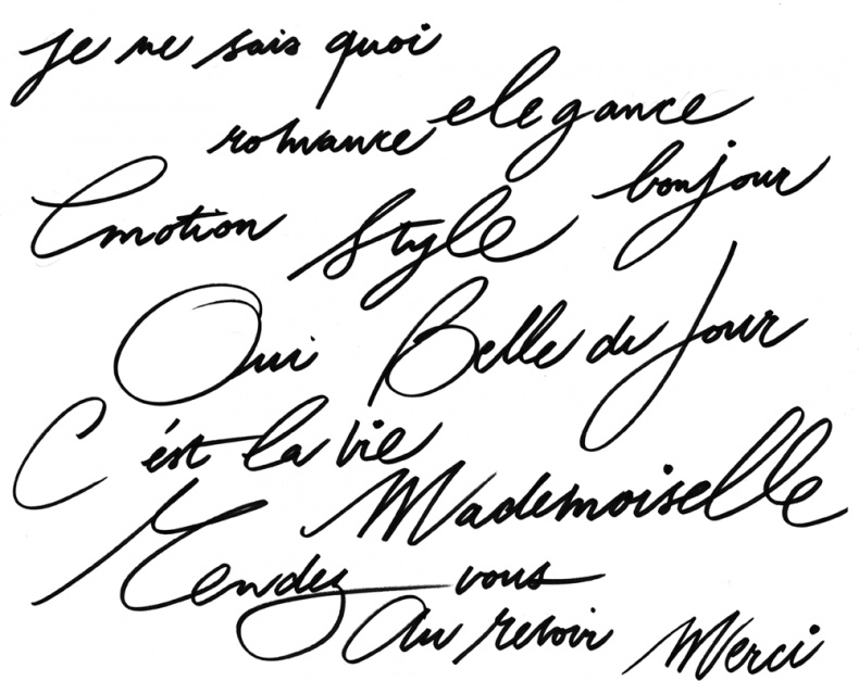 Иллюстрация к книге — Француженка [i_059.jpg]