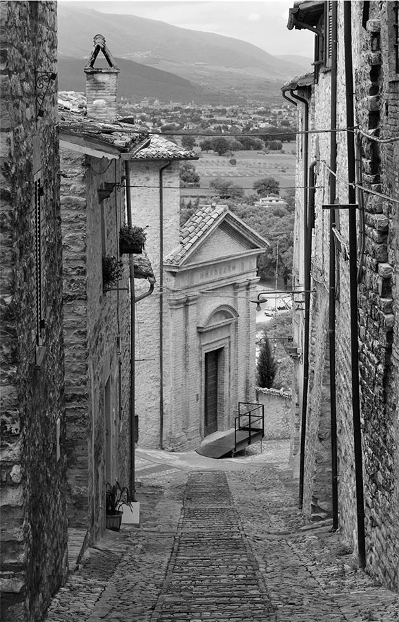 Иллюстрация к книге — Нежная магия Тосканы. Вино, коты и призраки [i_001.jpg]