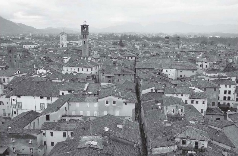 Иллюстрация к книге — Нежная магия Тосканы. Вино, коты и призраки [i_015.jpg]