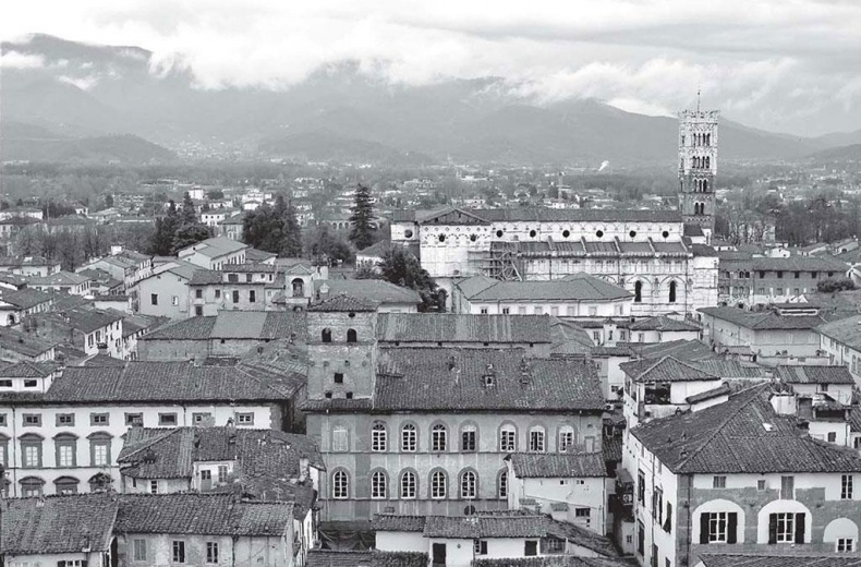 Иллюстрация к книге — Нежная магия Тосканы. Вино, коты и призраки [i_016.jpg]