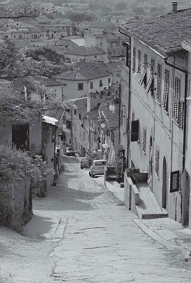 Иллюстрация к книге — Нежная магия Тосканы. Вино, коты и призраки [i_019.jpg]