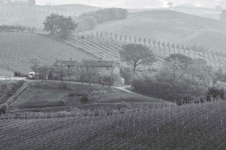 Иллюстрация к книге — Нежная магия Тосканы. Вино, коты и призраки [i_020.jpg]